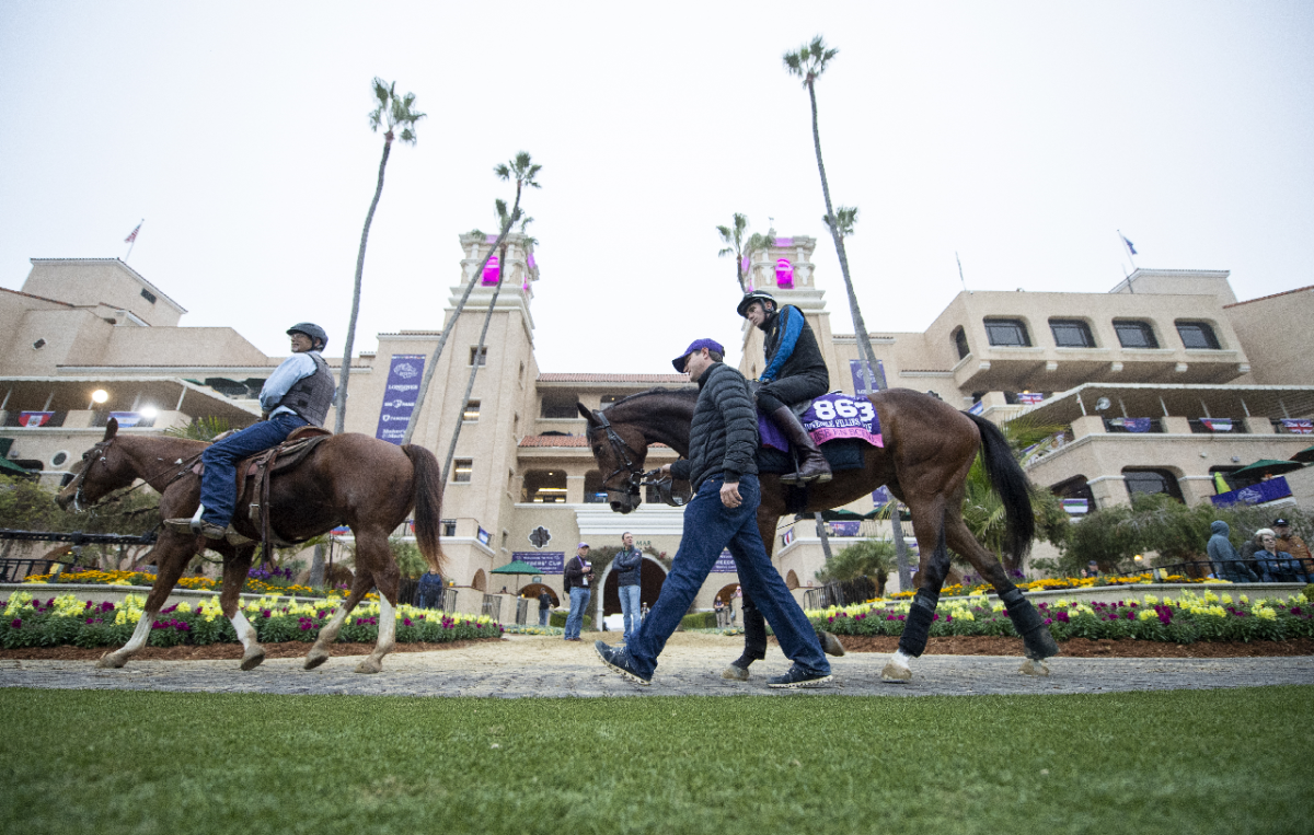 Breeders Cup horse racing at Del Mar